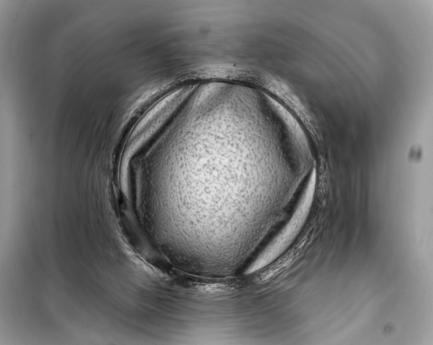 X0000098220058200805081208