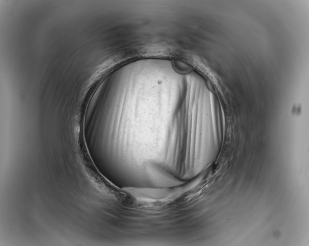 X0000098220059200805081208