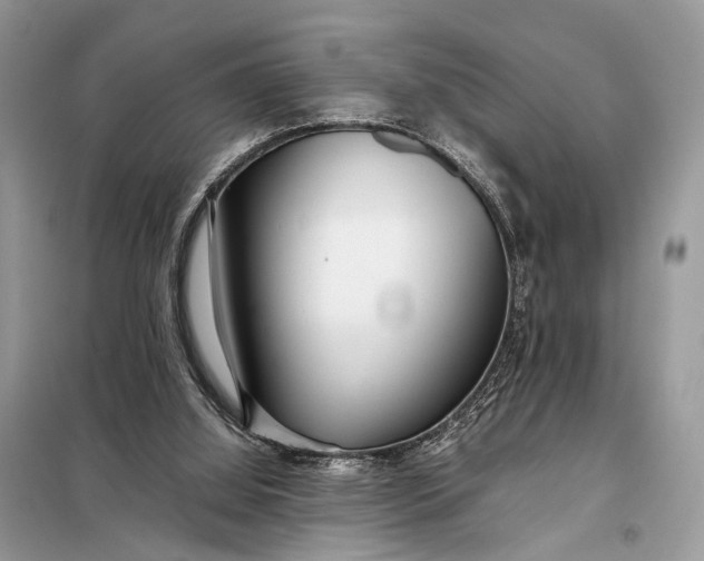 X0000098220060200805081208