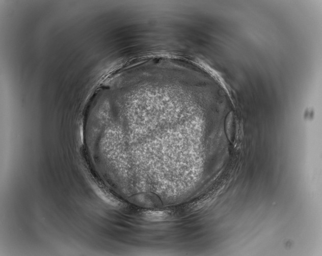 X0000098220061200805081208