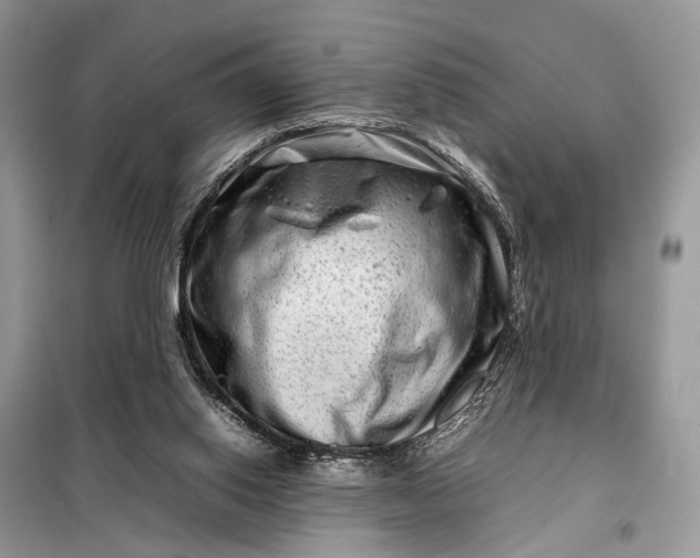 X0000098220062200805081208