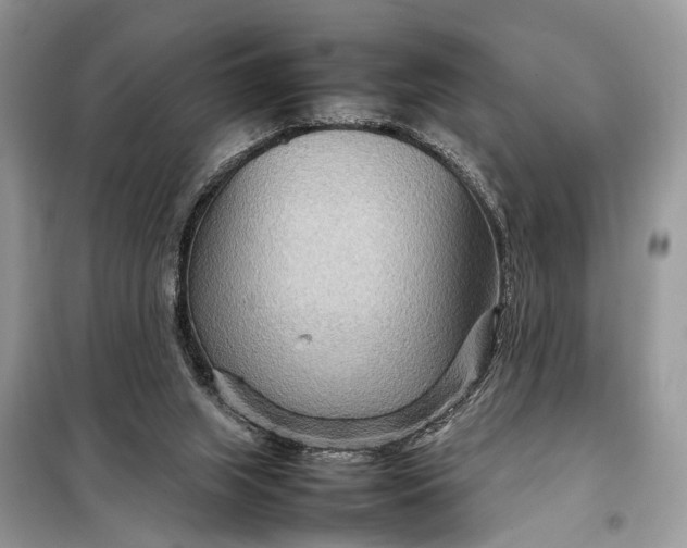 X0000098220063200805081208