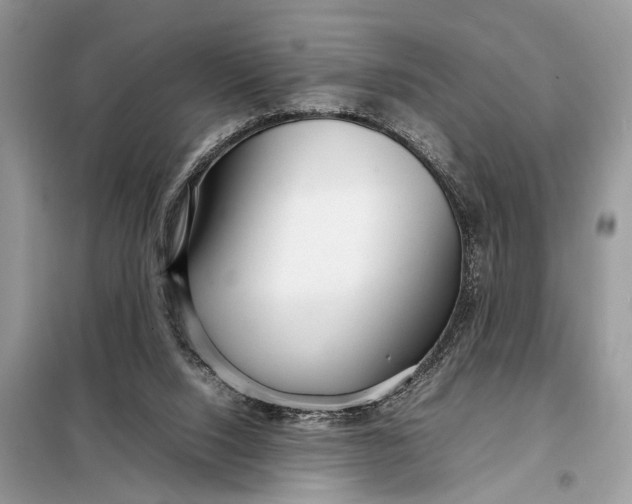 X0000098220064200805081208