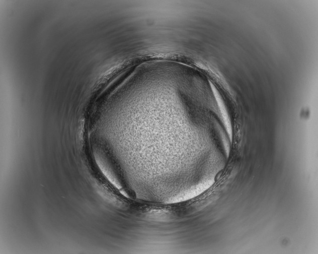 X0000098220066200805081208