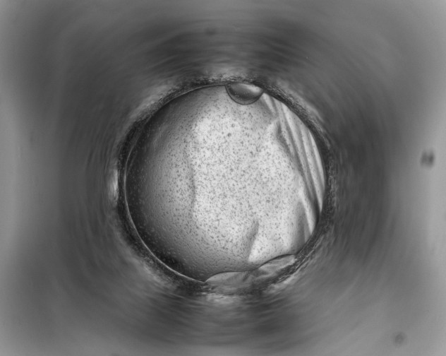 X0000098220067200805081208