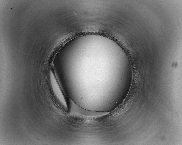 X0000098220068200805081208