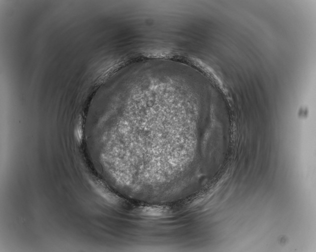 X0000098220069200805081208