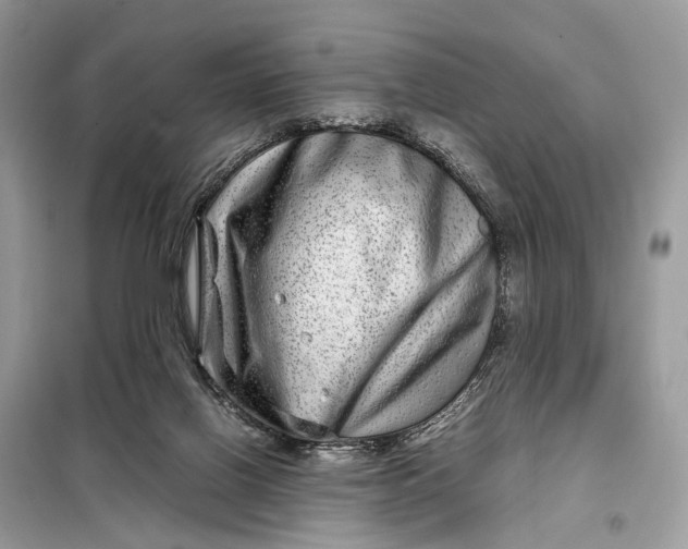 X0000098220070200805081208