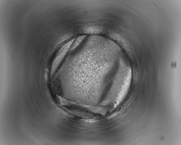 X0000098220071200805081208