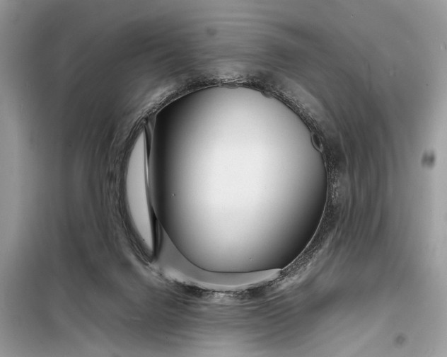 X0000098220072200805081208