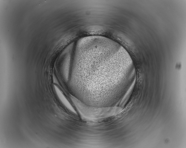 X0000098220074200805081208