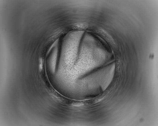 X0000098220075200805081208