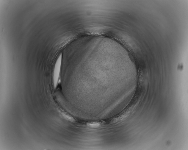 X0000098220076200805081208