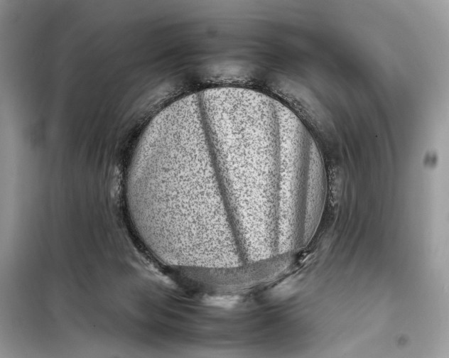 X0000098220077200805081208