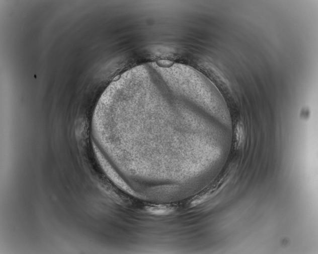 X0000098220079200805081208