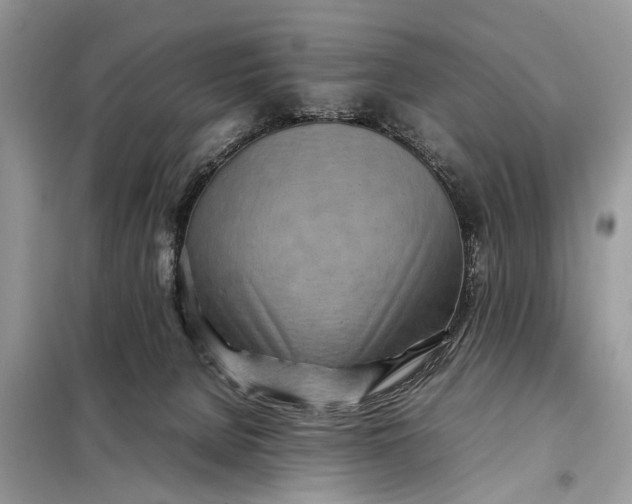 X0000098220080200805081208