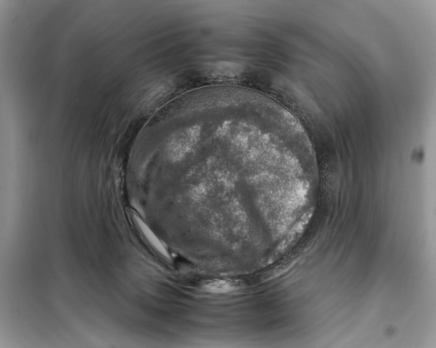 X0000098220083200805081208