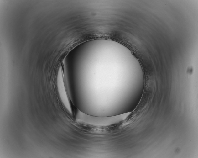 X0000098220084200805081208