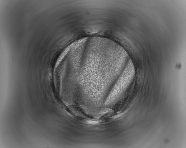 X0000098220085200805081208