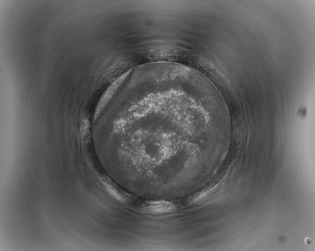 X0000098220087200805081208