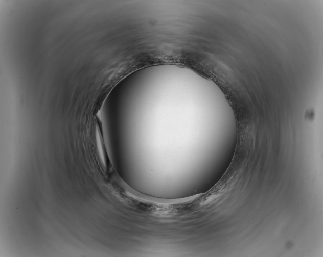 X0000098220088200805081208