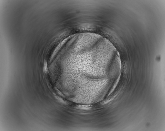 X0000098220089200805081208