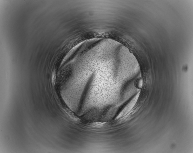 X0000098220090200805081208