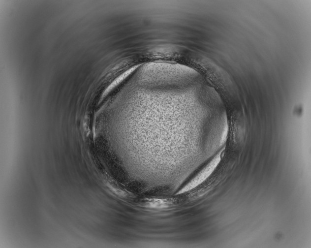 X0000098220091200805081208