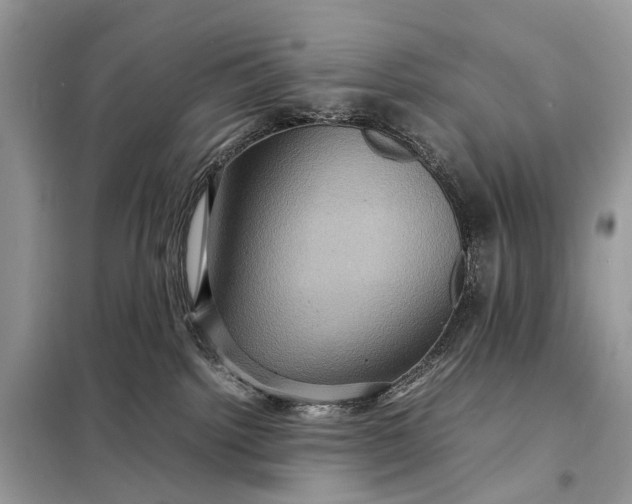 X0000098220092200805081209