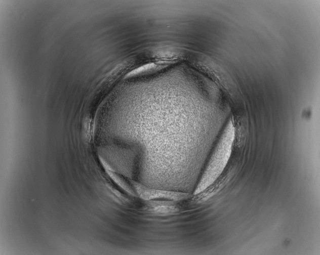 X0000098220093200805081209