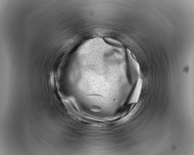 X0000098220094200805081209