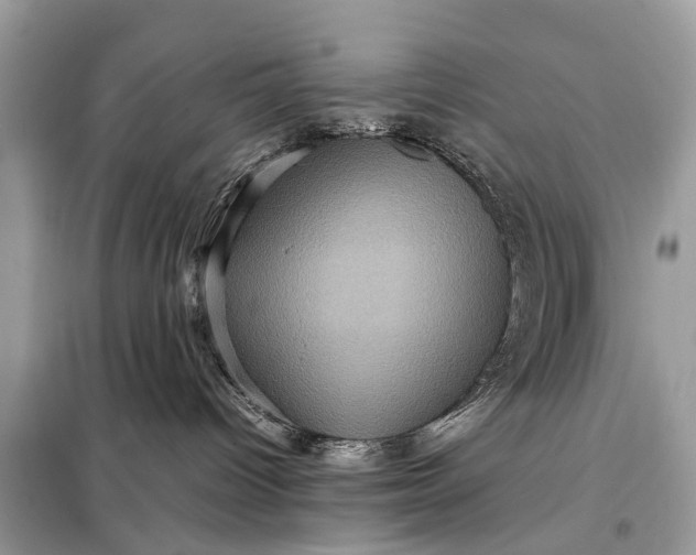 X0000098220096200805081209