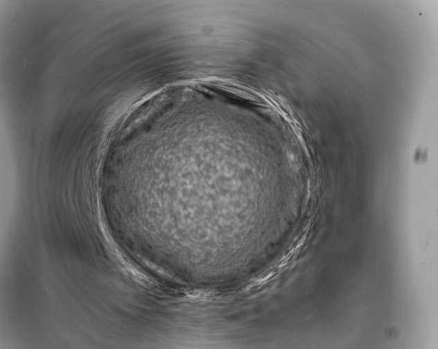 X0000098220097200805081208