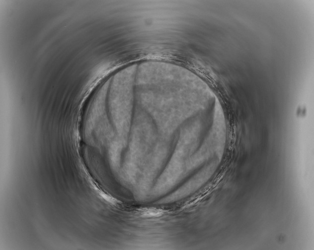 X0000098220098200805081208