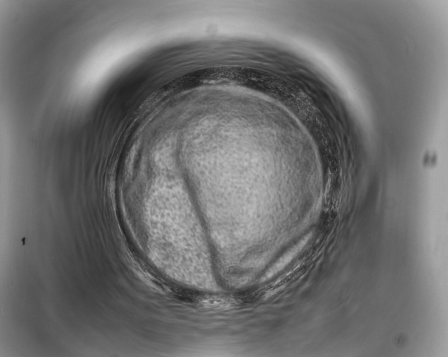 X0000098220099200805081208