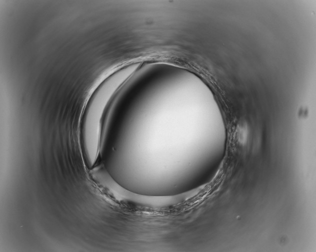 X0000098220100200805081208