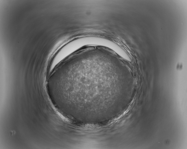 X0000098220101200805081208