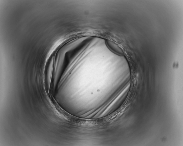 X0000098220102200805081208