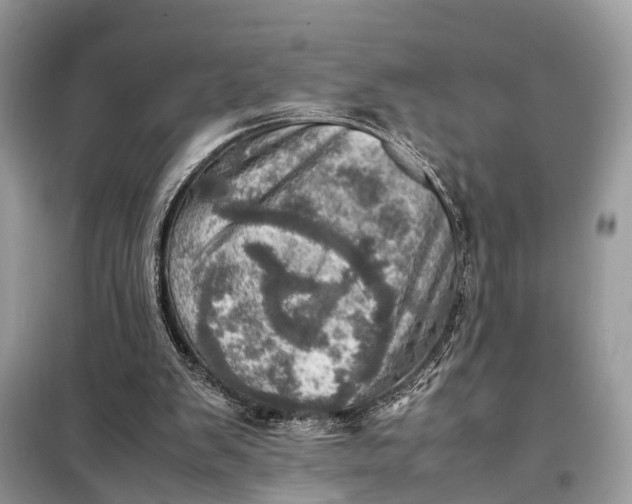 X0000098220103200805081208