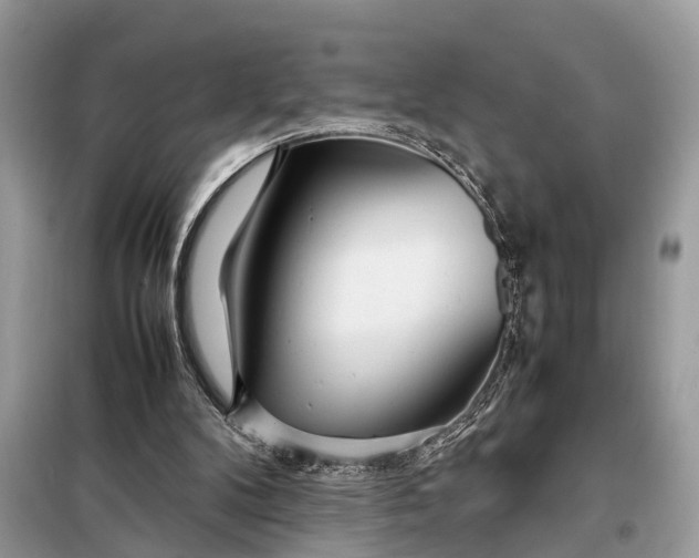 X0000098220104200805081208