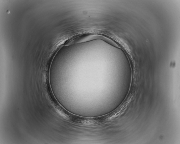 X0000098220105200805081208