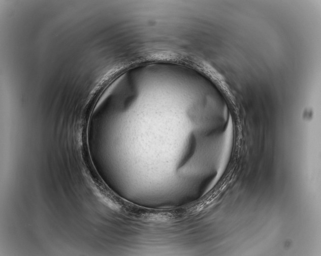 X0000098220106200805081208