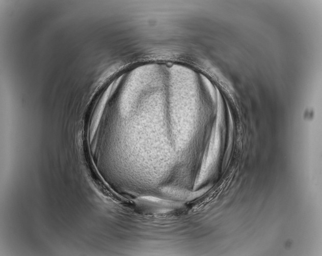 X0000098220107200805081208