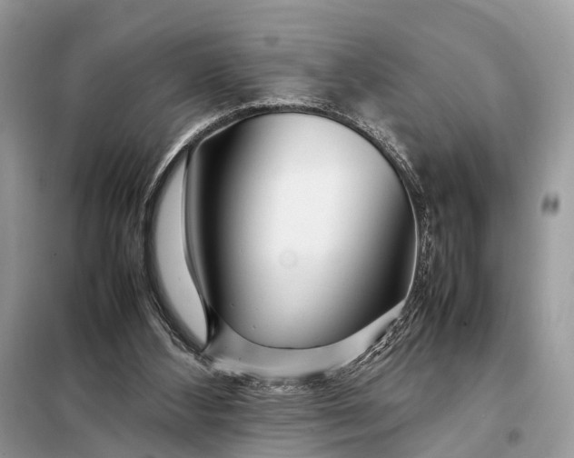 X0000098220108200805081208