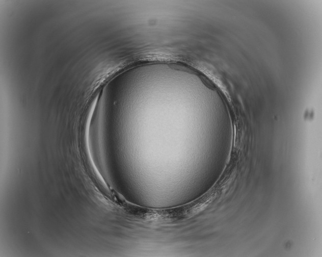 X0000098220109200805081208