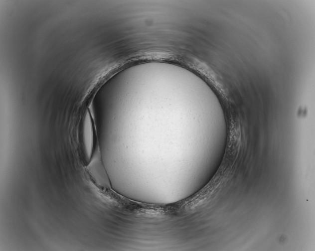 X0000098220110200805081208