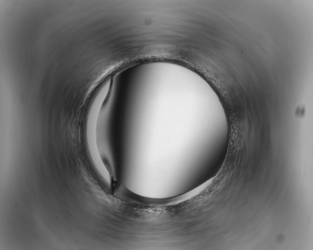 X0000098220112200805081207