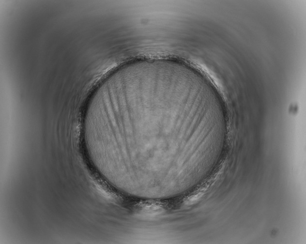 X0000098220113200805081207