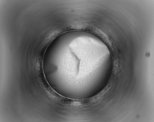 X0000098220114200805081207