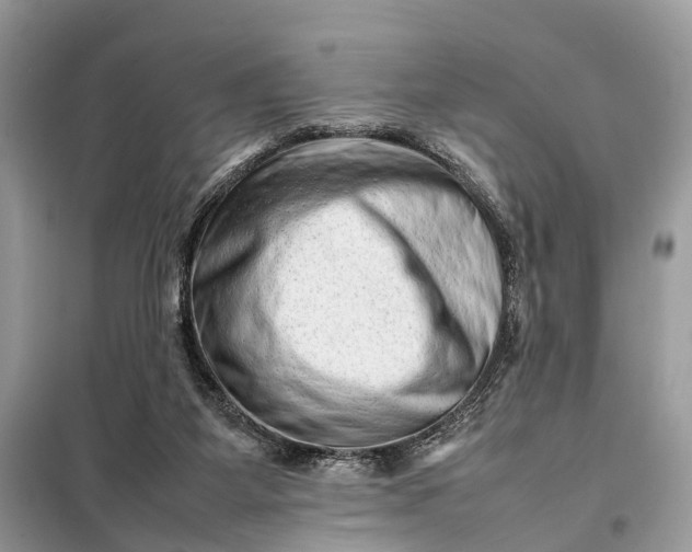 X0000098220115200805081207